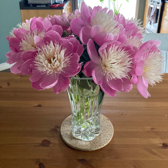 Meet your Posher - Picture 1 of 9